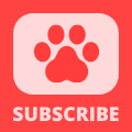 YouTube Paw SUBSCRIBE Watermark - Red